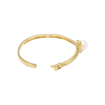 ផលិតផល 269460